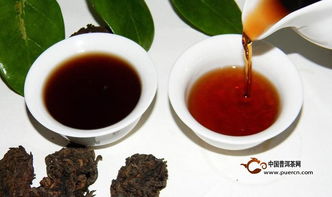 什么是普洱茶的老茶头?