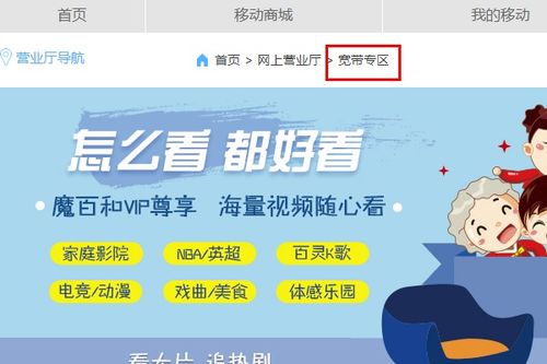铁通宽带办理
