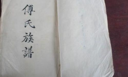 傅和付是同一个姓吗
