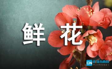 描写鲜花的四字词语
