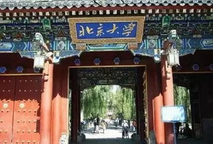985大学有北大吗