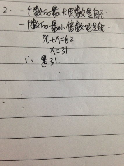 13的因数
