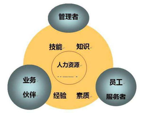 MTS是什么意思?