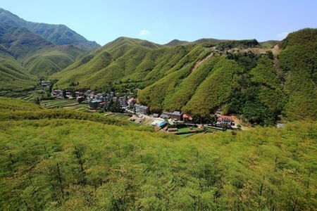 安吉旅游攻略
