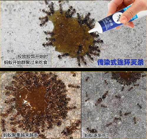 灭蚁药的成份是什么???误食如何治疗???