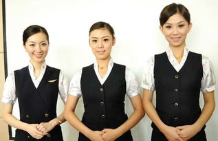 学习空姐
