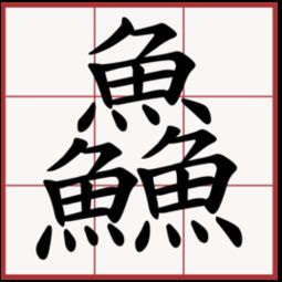 三个鱼字念什么
