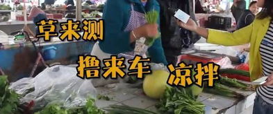 嬢嬢两字怎么读,什么意思
