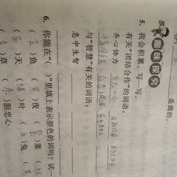 智慧的词语
