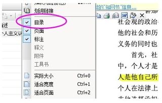 用caj 看论文左边目录的问题