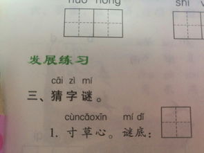 弄瓦之喜的谜底是什么?