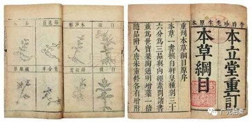 本草纲目是谁写的
