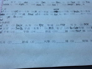 手臂的英语怎么说?