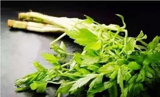 水芹菜叶子能吃吗
