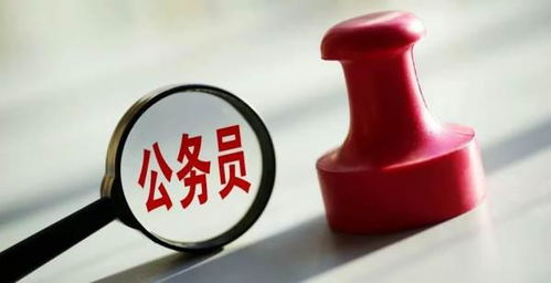 职位一般填什么
