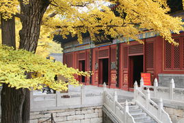 女士去红螺寺注意事项
