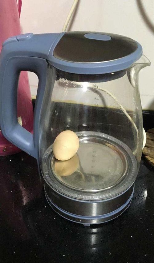 热水壶可以煮鸡蛋吗
