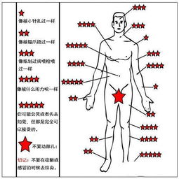 纹身大概是几级疼