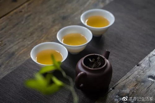 福鼎白茶怎么喝才正确方法