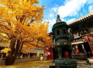 去北京怀柔红螺寺有什么需要准备的么?