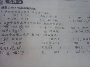 明什么秋毫
