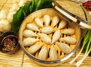 饺组词有哪些词语