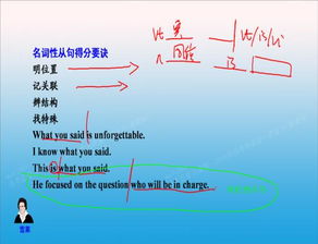 同位语从句引导词
