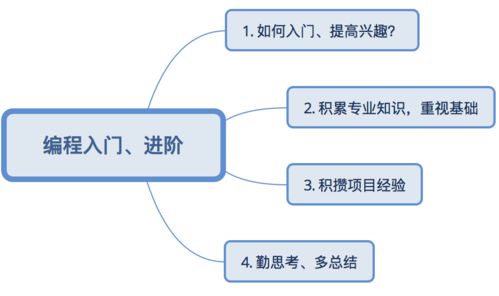 如何编写程序
