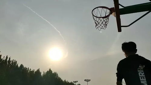 骄阳似火的意思

