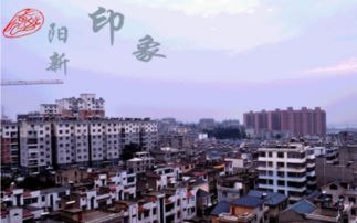 阳新属于哪个市