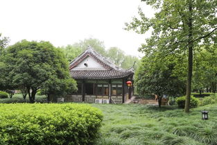 “雨纷纷旧故里草木深”是周杰伦的哪首歌歌词