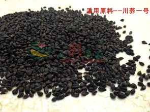 荞麦是什么样子的