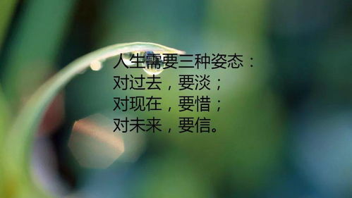 鼓励进步的经典语句