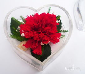 给老师送什么花
