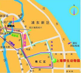 上海野生动物园路线
