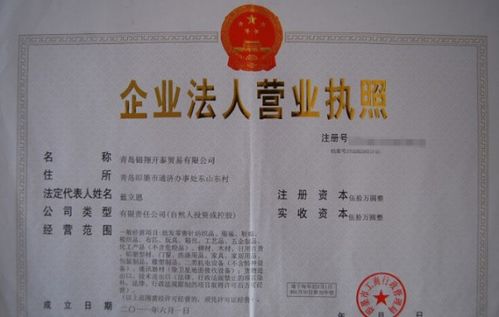 法人是什么意思