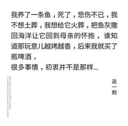初衷是什么意思

