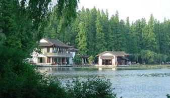 西湖乐园

