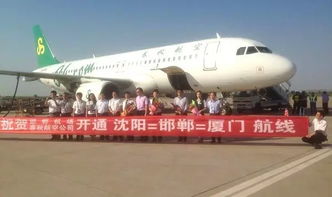沈阳坐飞机到邯郸什么地方降落?