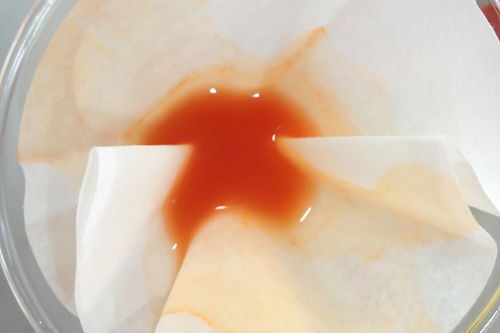 水晶之恋果冻(情侣之间果冻是干嘛的)