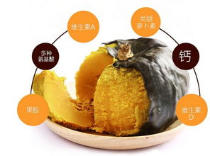 南瓜用英语怎么说
