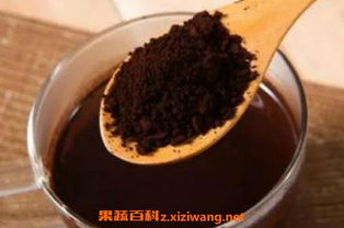 灵芝孢子粉的功效和作用是什么