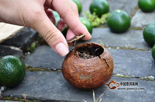 请问白茶和陈皮一起泡有什么功效