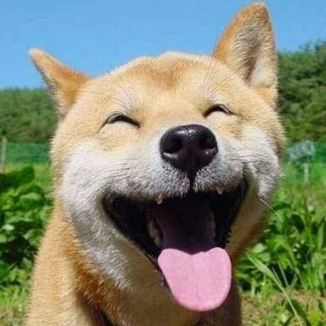 吸入灰尘太多怎么清肺
