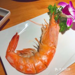 青岛的青虾是海虾吗