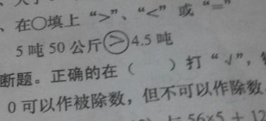 除数可以为0吗

