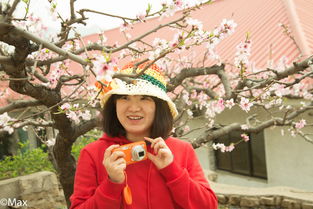“草木有本心,何求美人折”是什么意思