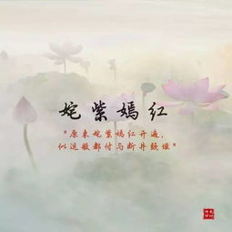 形容花美的成语
