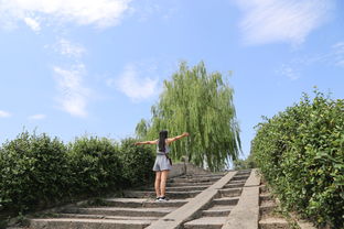 旧故里草木深

