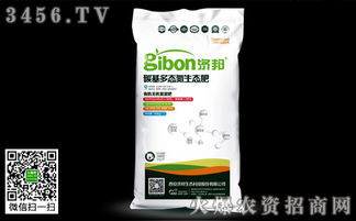 现在新型肥料都有哪些种类